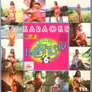 คาราโอเกะ ลูกทุ่งแสบทรวง 6 VCD1745-WEB1